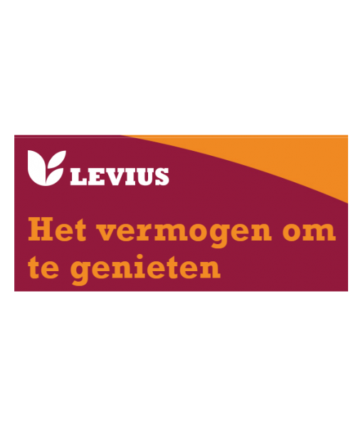 Levius Branding